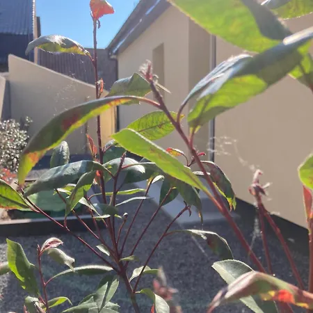 Frühstückspension Lov'&spa