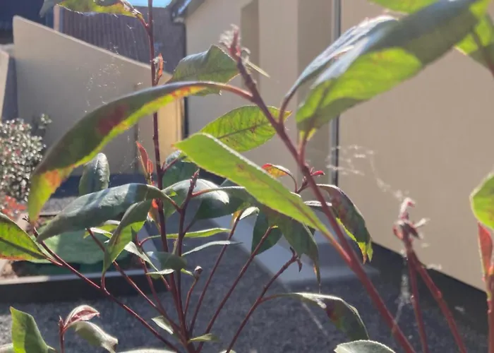 Nocleg ze śniadaniem Lov'&spa